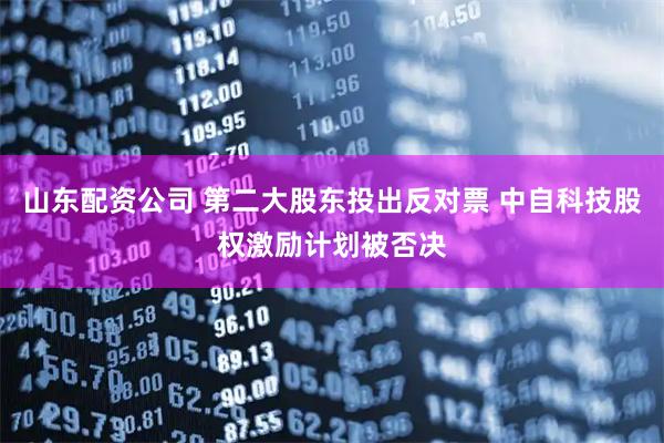 山东配资公司 第二大股东投出反对票 中自科技股权激励计划被否决