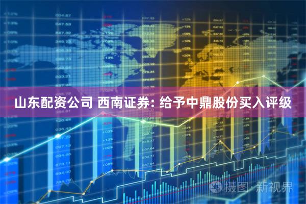 山东配资公司 西南证券: 给予中鼎股份买入评级