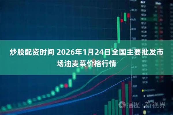 炒股配资时间 2026年1月24日全国主要批发市场油麦菜价格行情