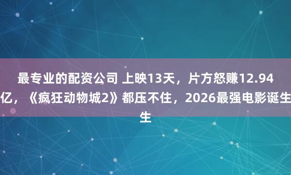 最专业的配资公司 上映13天，片方怒赚12.94亿，《疯狂动物城2》都压不住，2026最强电影诞生